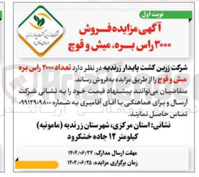 تصویر کوچک آگهی فروش تعداد ۳۰۰۰ راس بره میش و فوج