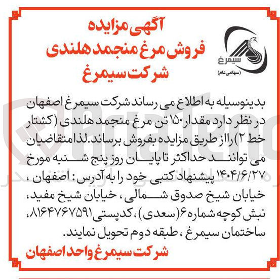 تصویر کوچک آگهی فروش مرغ منجمد هلندی