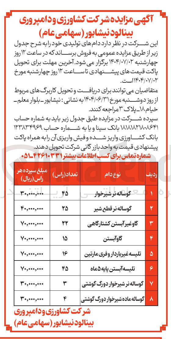 تصویر کوچک آگهی گاو غیر آبستن کشتارگاهی
