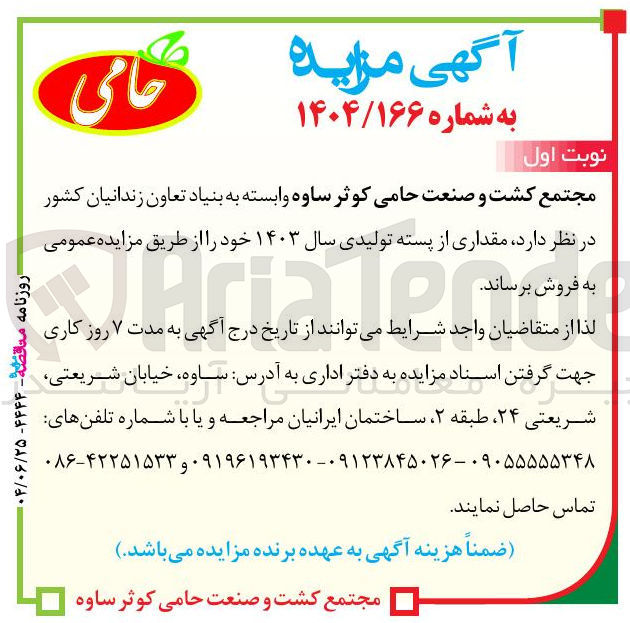 تصویر کوچک آگهی فروش  مقداری از پسته تولیدی سال ۱۴۰۳ 