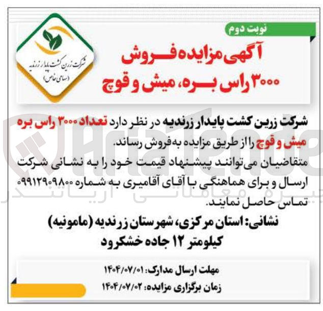 تصویر کوچک آگهی فروش ۳۰۰۰ راس بره میش و قوچ 