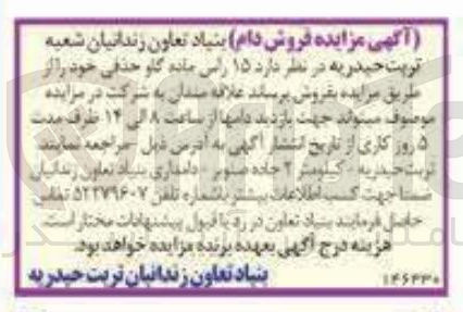 تصویر کوچک آگهی فروش 15 راس ماده گاو حذفی