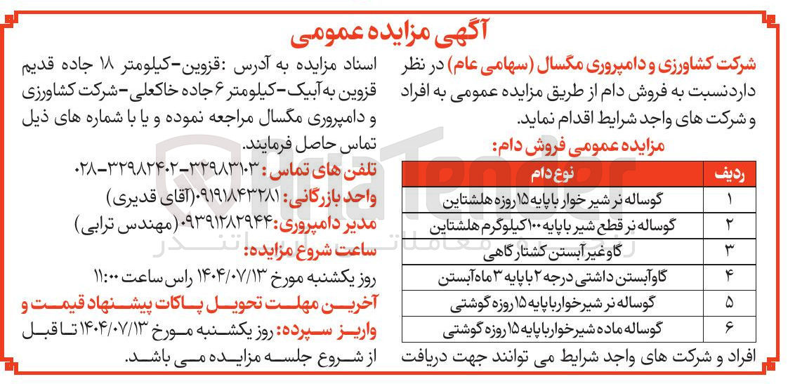 تصویر کوچک آگهی فروش دام در 6 ردیف