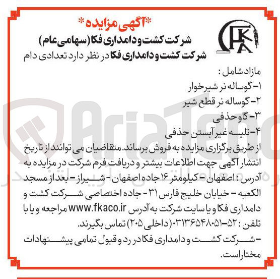 تصویر کوچک آگهی ۴ - تلیسه غیر آبستن حذفی 
