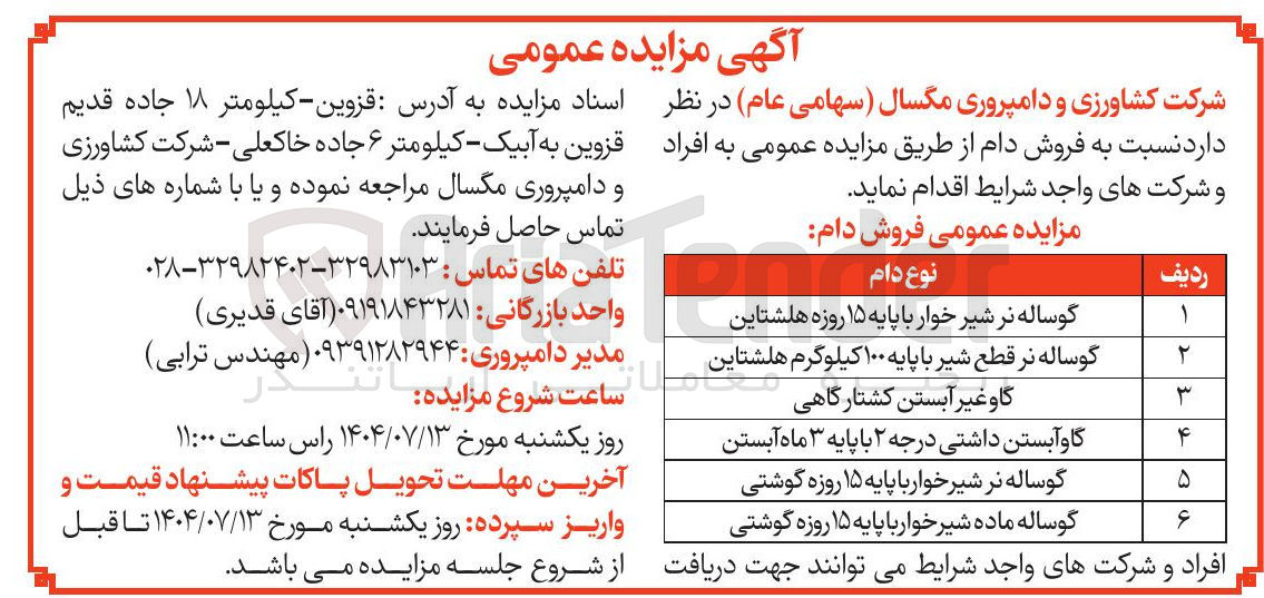 تصویر کوچک آگهی فروش دام در 6 ردیف