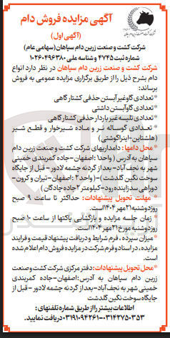 تصویر کوچک آگهی تعدادی گوساله نر و ماده شیرخوار و قطع شیر هلشتاین اینرا کوشتی ) 
