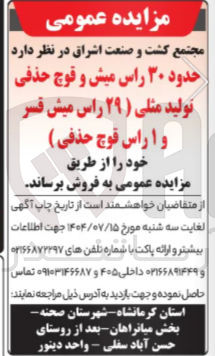 تصویر کوچک آگهی فروش حدود ۳۰ راس میش و قوچ حذفی تولید مثلی ( ) ۲۹ راس میش قسر و ۱ راس قوچ حذفی )