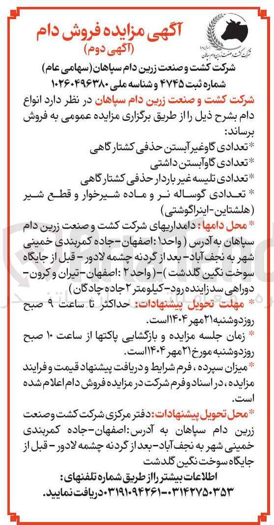 تصویر کوچک آگهی تعدادی گوساله نر و ماده شیرخوار و قطع شیر هلشتاین - اینرا گوشتی 
