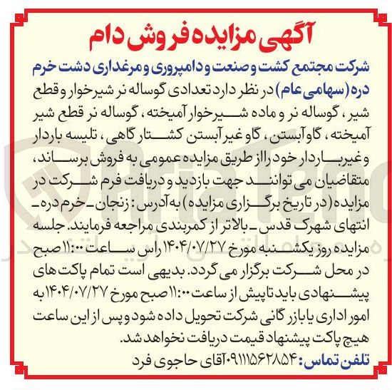 تصویر کوچک آگهی فروش تعدادی گوساله نر شیر خوار و قطع شیر گوساله نر و ماده شیر خوار آمیخته ، گوساله نر قطع شیر آمیخته ، گاو آبستن گاو غیر آبستن کشتارگاهی ، تلیسه باردار و غیر باردار خود