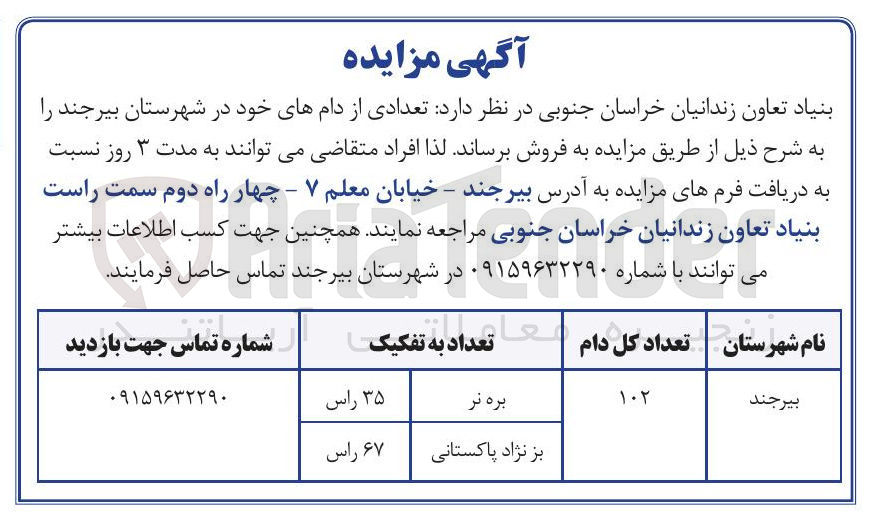 تصویر کوچک آگهی فروش تعدادی از دام ها