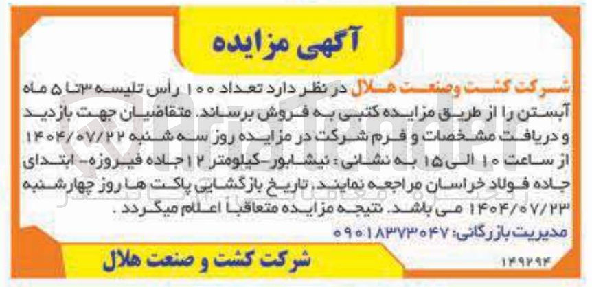 تصویر کوچک آگهی فروش  تعداد ۱۰۰ رأس تلیسه ۳ تا ۵ ماه آبستن