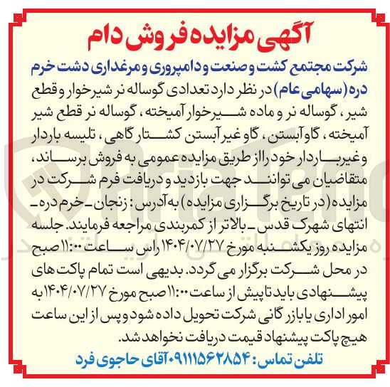 تصویر کوچک آگهی د تعدادی گوساله نر شیر خوار و قطع شیر گوساله نر و ماده شیر خوار آمیخته ، گوساله نر قطع شیر آمیخته ، گاو آبستن گاو غیر آبستن کشتارگاهی ، تلیسه باردار و غیر باردار