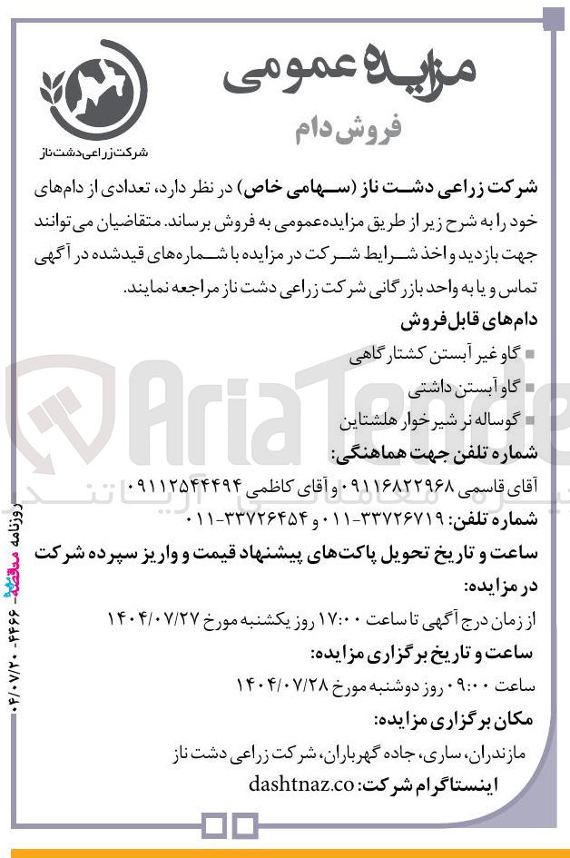 تصویر کوچک آگهی فروش دام های خود : گاو غیر آبستن کشتارگاهی -گاو آبستن داشتی -گوساله نر شیر خوار هلشتاین -شماره تلفن جهت هماهنگی