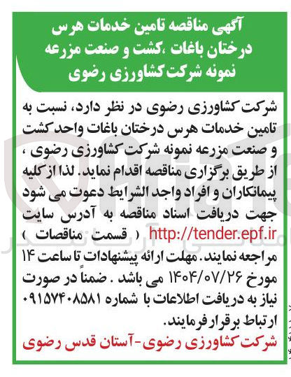 تصویر کوچک آگهی تامین خدمات هرس درختان باغات کشت و صنعت مزرعه نمونه شرکت کشاورزی رضوی