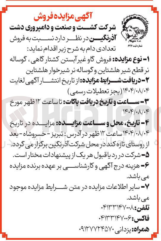 تصویر کوچک آگهی فروش گاو غیر آبستن کشتارگاهی ، گوساله نر قطع شیر هلشتاین و گوساله نر شیرخوار هلشتاین