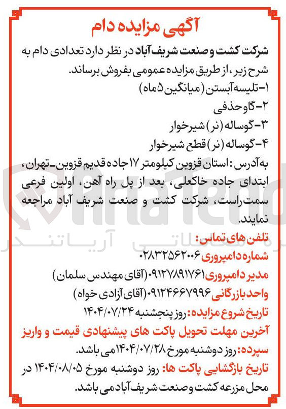 تصویر کوچک آگهی فروش تعدادی دام به شرح زیر: ۱ - تلیسه آبستن ( میانگین ۵ ( ماه  - گاو حذف گوساله ( نر ) شیرخوار ۴ - گوساله ( نر ) قطع شیرخوار