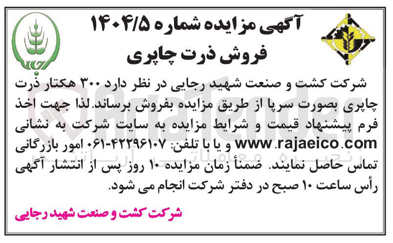 تصویر کوچک آگهی فروش ۳۰۰ هکتار ذرت چاپری بصورت سرپا 