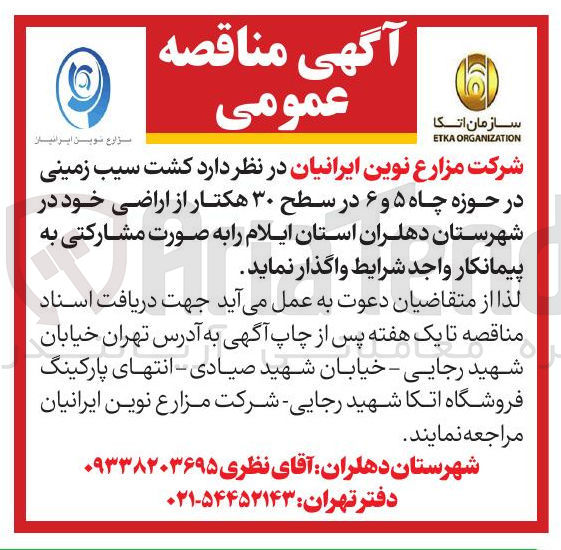 تصویر کوچک آگهی کشت سیب زمینی در حوزه چاه ۵ و ۶ در سطح ۳۰ هکتار از اراضی