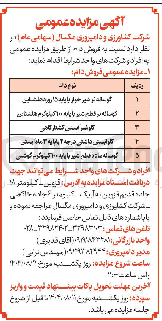 تصویر کوچک آگهی فروش دام به شرح زیر : گوساله نر شیر خوار با پایه ۱۵ روزه هلشتاین -گوساله نر قطع شیر با پایه ۱۰۰ کیلوگرم هلشتاین -
گاو غیر آبستن کشتارگاهی -گاو آبستن داشتی درجه ۲ با پایه ۳ ماه آبستن - گوساله ماده قطع شیر با پایه ۱۰۰ کیلوگرم گوشتی