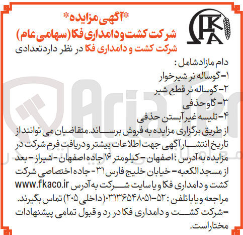 تصویر کوچک آگهی ۴ - تلیسه غیر آبستن حذفی
