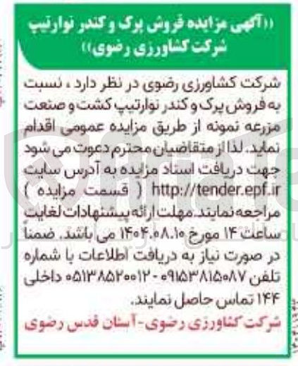 تصویر کوچک آگهی  فروش پرک و کندر نوارتیپ کشت و صنعت مزرعه نمونه