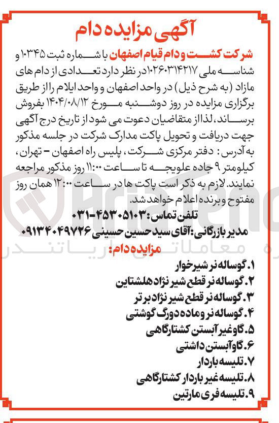 تصویر کوچک آگهی فروش  تعدادی از دام های مازاد به شرح ذیل : گوساله نر شیرخوار - گوساله نر قطع شیر نژاد هلشتاین- گوساله نر قطع شیر نژاد برتر 
