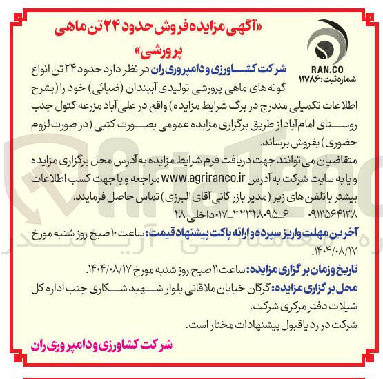 تصویر کوچک آگهی فروش حدود ۲۴ تن ماهی پرورشی 