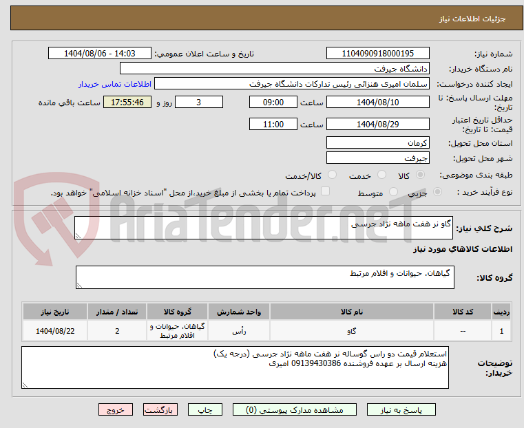 تصویر کوچک آگهی گاو نر هفت ماهه نژاد جرسی