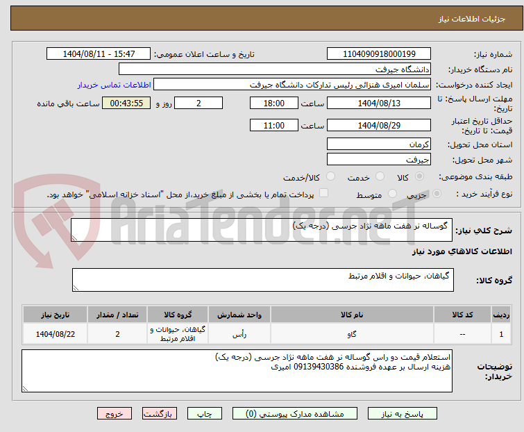 تصویر کوچک آگهی  گوساله نر هفت ماهه نژاد جرسی (درجه یک)