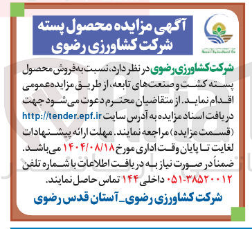 تصویر کوچک آگهی فروش محصول پسته 