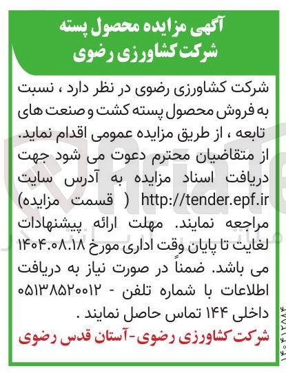 تصویر کوچک آگهی فروش محصول پسته کشت و صنعت های تابعه