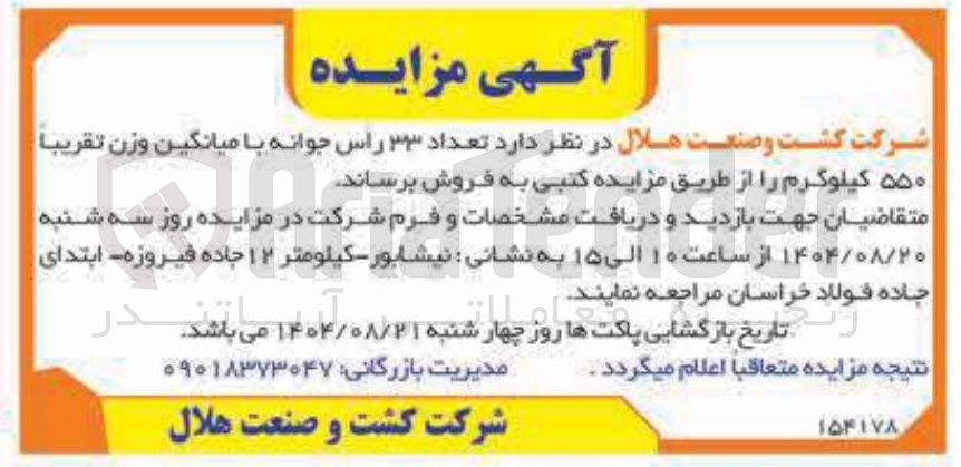 تصویر کوچک آگهی فروش تعداد ۲۳ راس جوانه با میانگین وزن تقریبا ۵۵۰ کیلوگرم