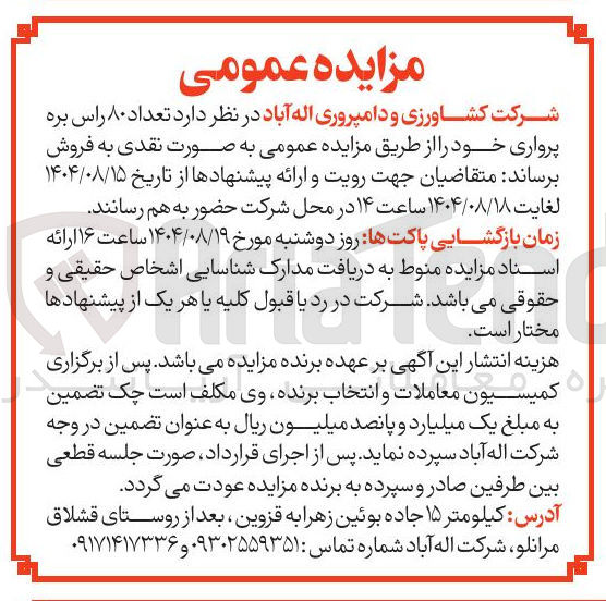 تصویر کوچک آگهی فروش تعداد ۸۰ راس بره پرواری