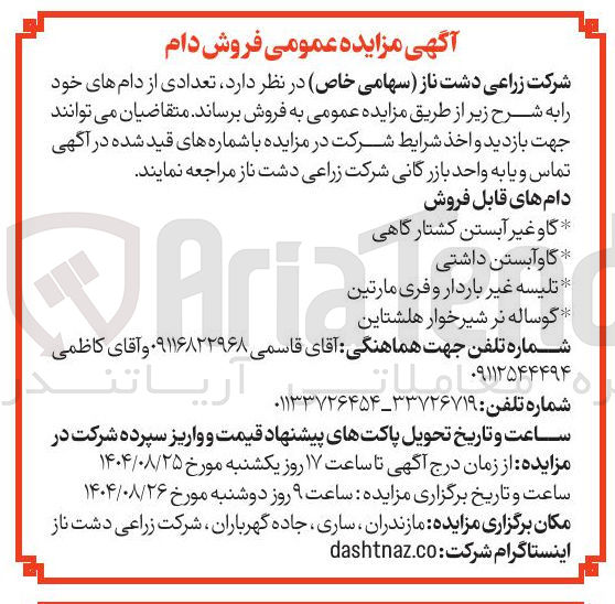 تصویر کوچک آگهی گوساله نر شیرخوار هلشتاین