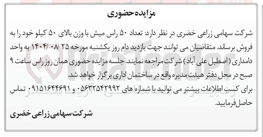 تصویر کوچک آگهی فروش تعداد ۵۰ راس میش با وزن بالای ۵۰ کیلو 