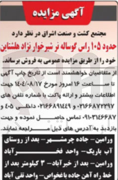 تصویر کوچک آگهی فروش حدود ۱۰۵ راس گوساله نر شیرخوار نژاد هلشتاین