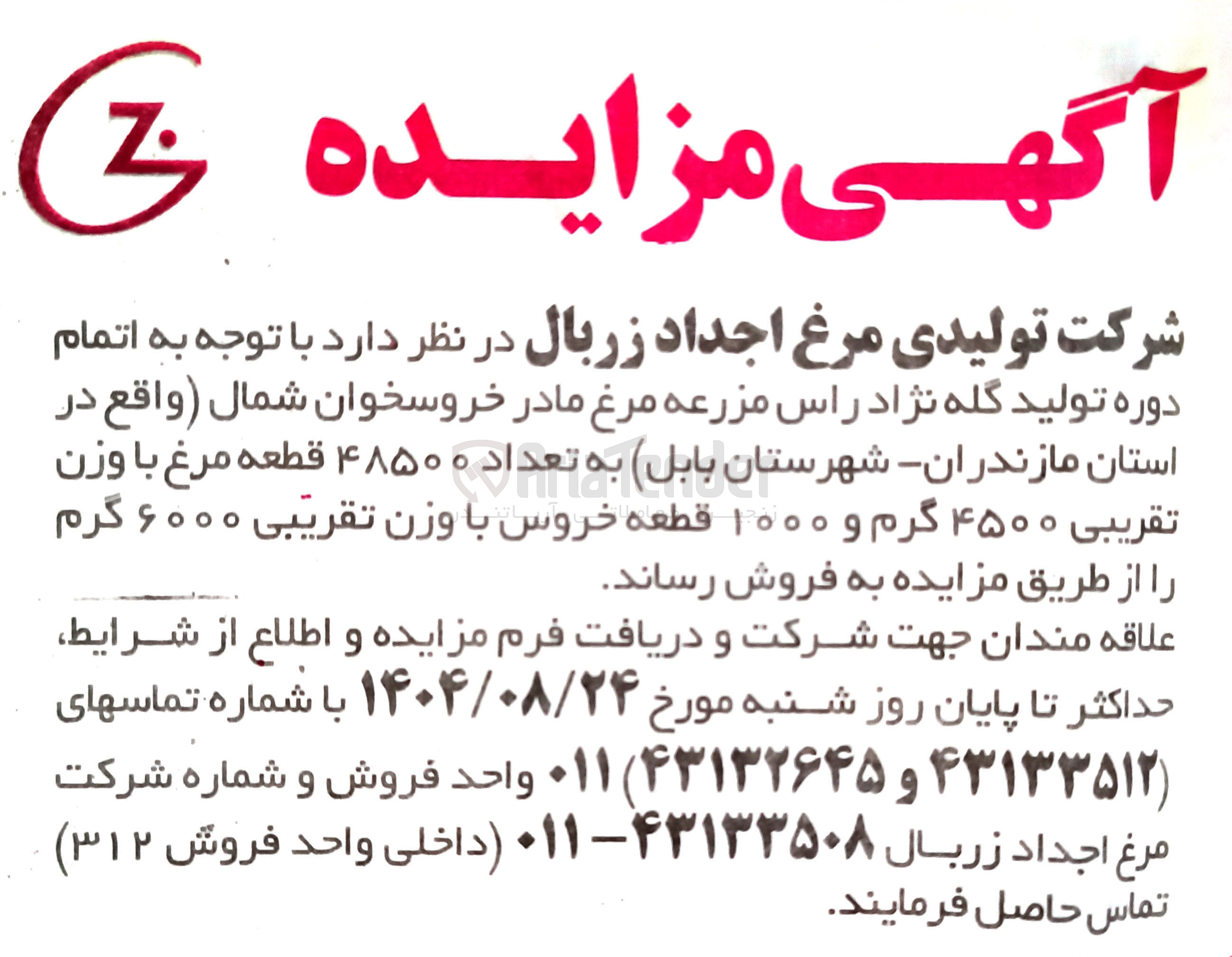 تصویر کوچک آگهی  تعداد ه ۴۸۵۰۰ طعه قطعه مرغ با وزن تقریبی ۴۵۰۰ گرم و ۱۰۰۰ قطعه خروس با وزن تقریبی ۶۰۰۰ گرم