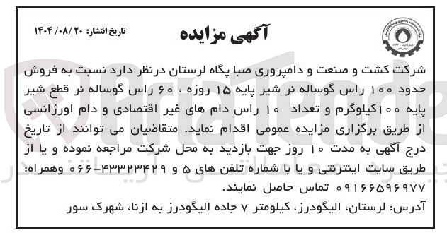 تصویر کوچک آگهی  فروش 
حدود ۱۰۰ راس گوساله نر شیر پایه ۱۵ روزه ، ۶۰ راس گوساله نر قطع شیر 
پایه ۱۰۰ کیلوگرم و تعداد ۱۰ راس دامهای غیر اقتصادی و دام اورژانسی