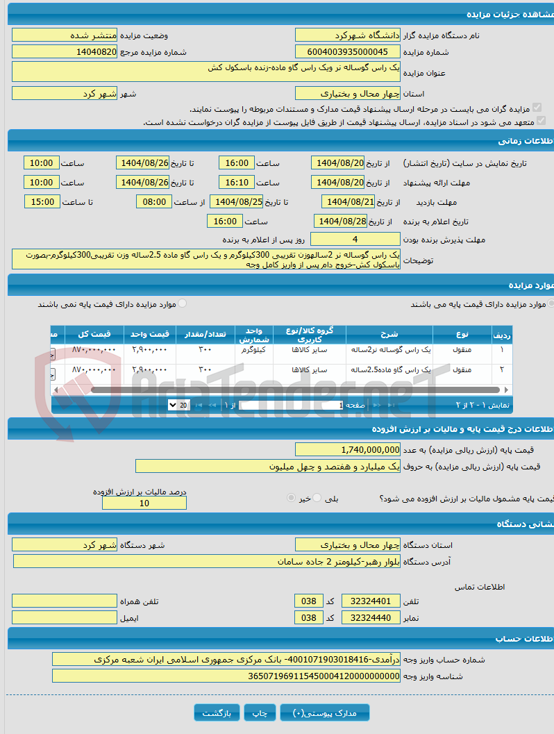 تصویر کوچک آگهی یک راس گوساله نر ویک راس گاو ماده-زنده باسکول کش