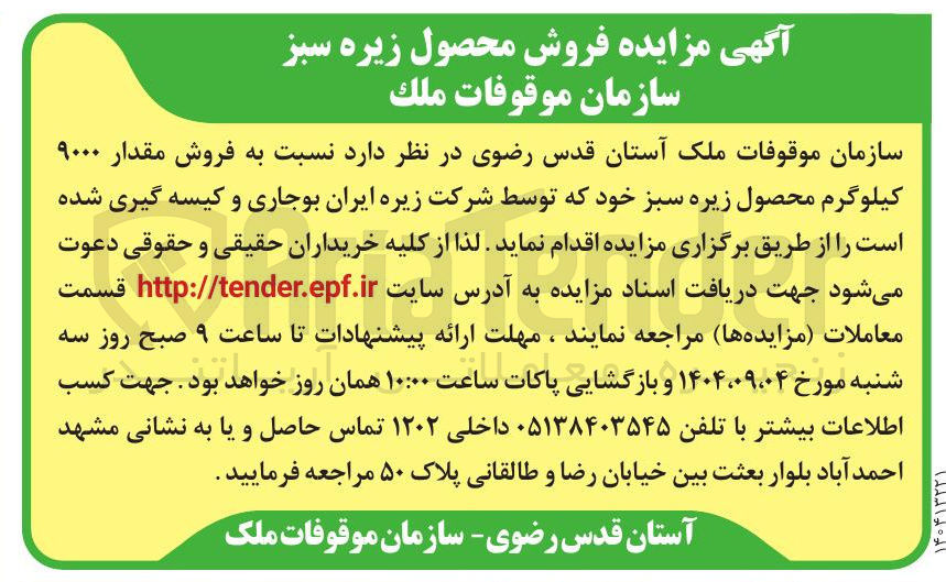 تصویر کوچک آگهی فروش مقدار ۹۰۰۰ کیلوگرم محصول زیره سبز