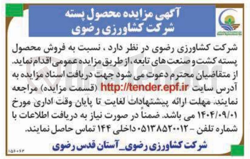 تصویر کوچک آگهی فروش محصول پسته کشت و صنعت های تابعه