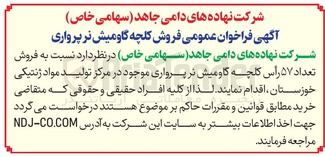 تصویر کوچک آگهی فروش تعداد ۵۷ رأس کلچه گاومیش نر پرواری