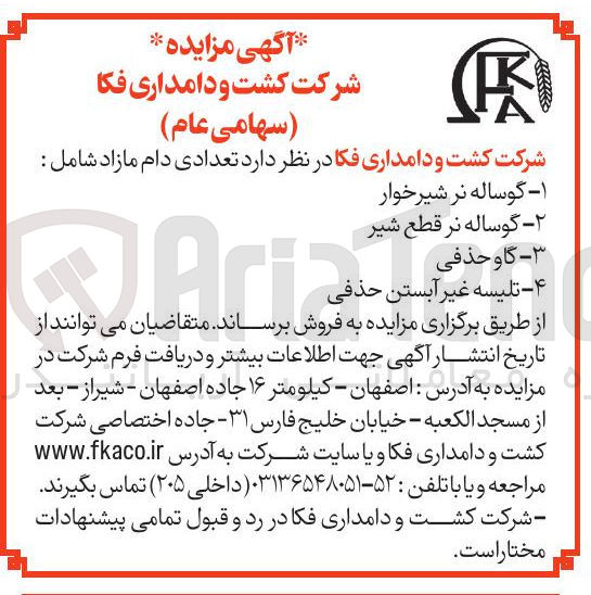 تصویر کوچک آگهی ۳ - گاو حذفی 
