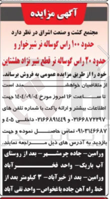 تصویر کوچک آگهی حدود ۱۰۰ راس گوساله نر شیرخوار و حدود ۲۰ راس گوساله نر قطع شیر نژاد هلشتاین 
