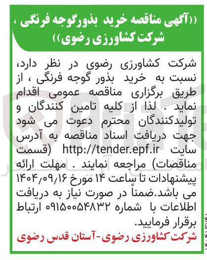 تصویر کوچک آگهی خرید بذور گوجه فرنگی ،