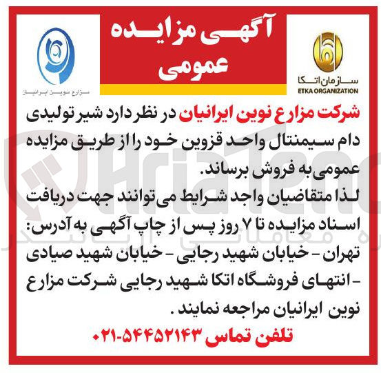 تصویر کوچک آگهی فروش شیر تولیدی دام سیمنتال