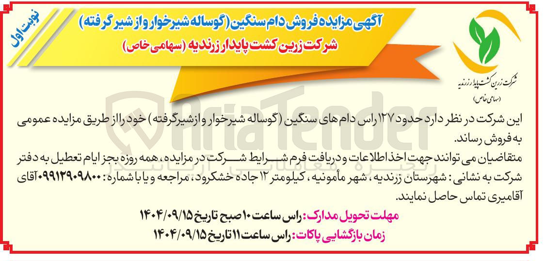 تصویر کوچک آگهی فروش دام سنگین گوساله شیرخوار و از شیر گرفته 