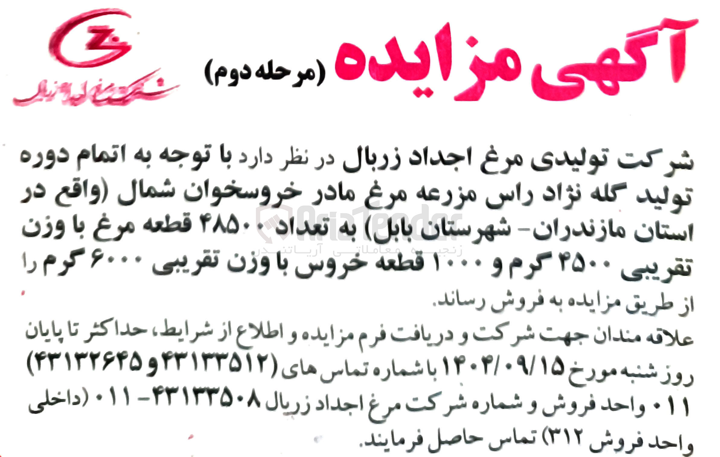 تصویر کوچک آگهی فروش تعداد ۴۸۵۰۰ قطعه مرغ با وزن تقریبی ۴۵۰۰ گرم و ۱۰۰۰ قطعه خروس با وزن تقریبی ۶۰۰۰ گرم