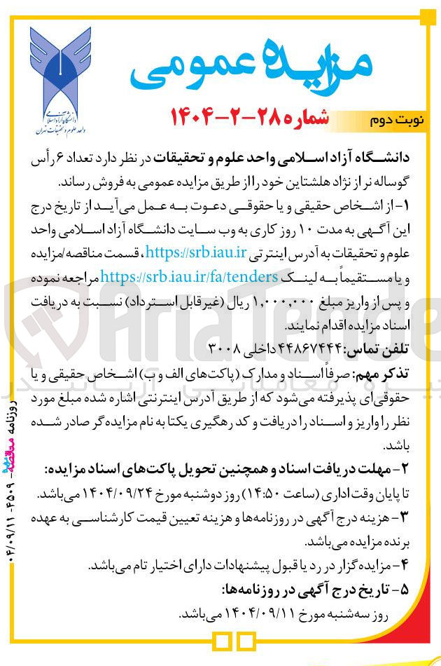تصویر کوچک آگهی فروش تعداد ۶ رأس گوساله نر از نژاد هلشتاین
