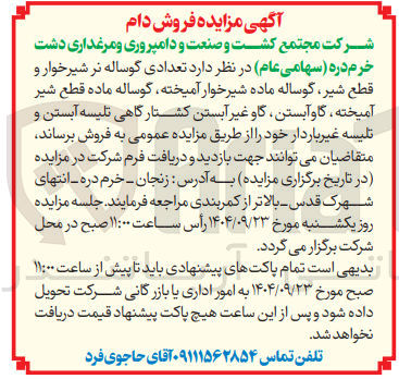 تصویر کوچک آگهی فروش تعدادی گوساله نر شیرخوار و قطع شیر گوساله ماده شیرخوار آمیخته گوساله ماده قطع شیر آمیخته گاو آبستن گاو غیر آبستن کشتارگاهی تلیسه آبستن و تلیسه غیر باردار 